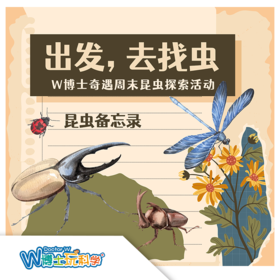 【北京】周末奇遇—昆虫备忘录