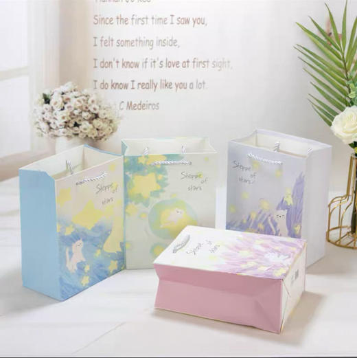 纸质手提袋小号190×145×100mm礼品袋 商品图0