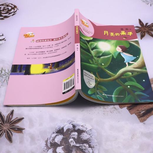 月亮的果子 商品图3