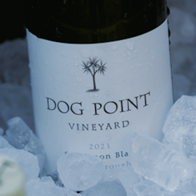 【2025.06.10 陕康门票 SKL Ticket】长相思天花板品鉴会！Dog Point庄主携有机神作空降魔都，带你领略马尔堡风土的风土！