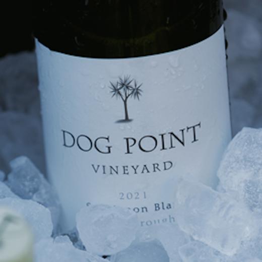 【2025.06.10 陕康门票 SKL Ticket】长相思天花板品鉴会！Dog Point庄主携有机神作空降魔都，带你领略马尔堡风土的风土！ 商品图0