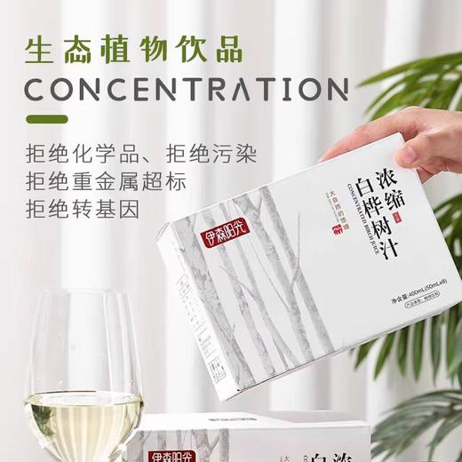 【顺丰包邮】黑河产区伊森阳光浓缩白桦树汁2盒礼袋 商品图1
