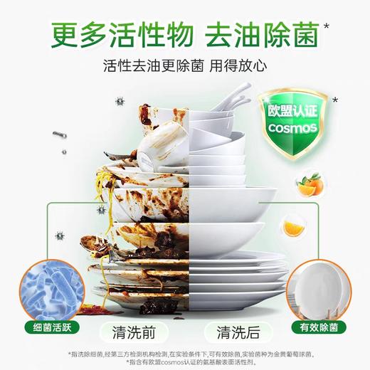 白猫高效去油洗洁精 1.018kg/瓶 商品图2