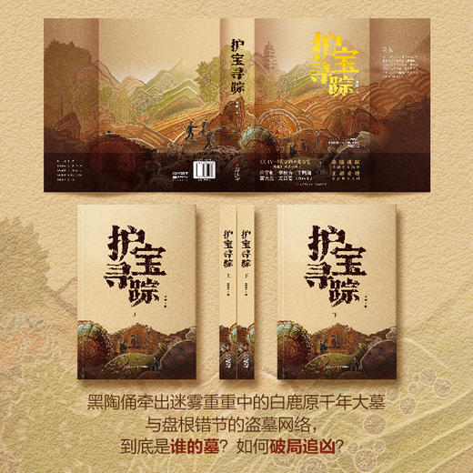 护宝寻踪 央视热播剧同名小说 爱奇艺解密考古文物保护题材刑侦剧 商品图2