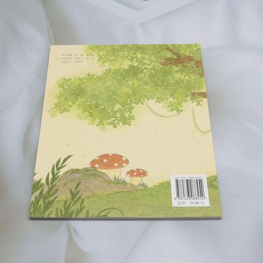 葡萄牙小熊(美绘版) 商品图2