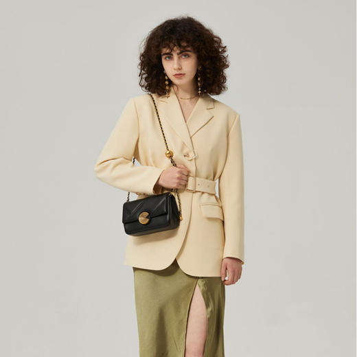 【预售3天】新款2025菱格链条包女高级感小众单肩斜挎包9227-D 商品图2