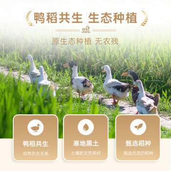 咪然天然鸭稻米 辽宁锦州生态产区大米 生态珍珠米 10斤 /粮油调味 /米 /珍珠米 商品图2