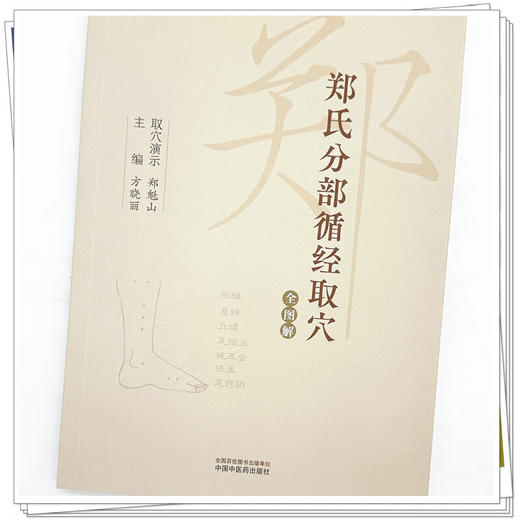 郑氏分部循经取穴全图解（附赠传统针灸取穴法视频）方晓丽 主编 针灸学经络腧穴学循经取穴书籍 9787513288637中国中医药出版社  商品图4