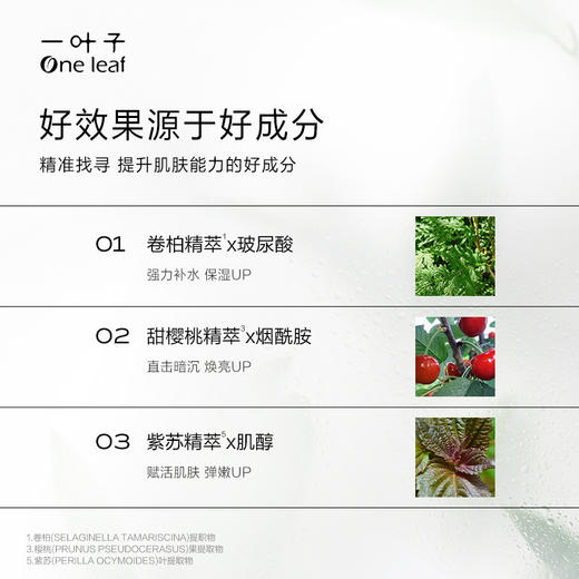 【补水焕亮紧致】一叶子天才润养面膜30片-熬夜祛黄提亮肤色焕亮礼物 商品图2