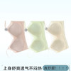 雀说【冰肌裸感】无痕美背舒适透气聚拢不空杯文胸夏季超薄款内衣女士AL8131 商品缩略图2
