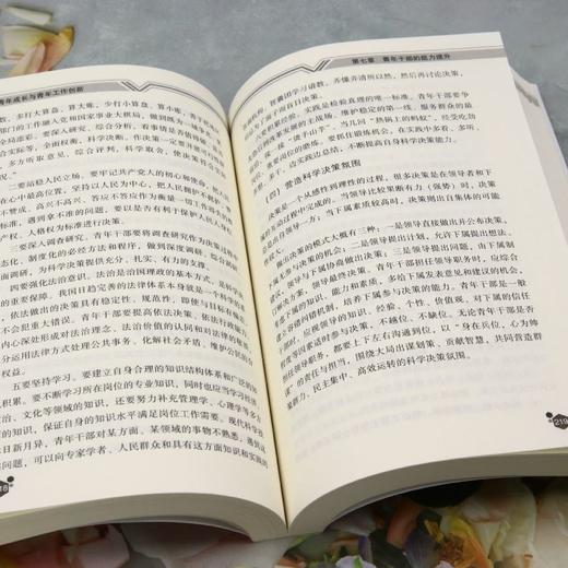 青年成长与青年工作创新 商品图4