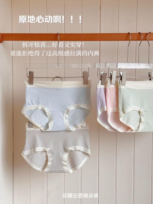 【裸感轻柔】芬腾云感棉朵裤5条装8806 商品图4