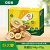 佳沛（zespri）新西兰 新果季 阳光金奇异果10粒巨大果单果146-175g 猕猴桃 商品缩略图3