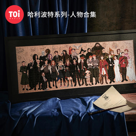 TOI图益哈利波特拼图成人1000片平面高难度手工玩具照片墙人物合集 商品图0