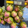 A级晴雯芍药花热卖 商品缩略图9