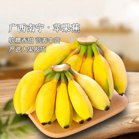 产地直发 | 【枝悦】广西苹果蕉 香蕉 新鲜水果整箱 当季小香蕉
