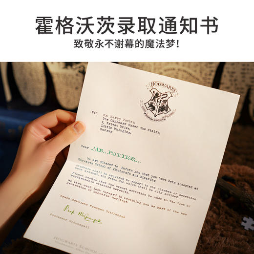 TOI图益哈利波特拼图成人1000片平面高难度手工玩具照片墙人物合集 商品图2