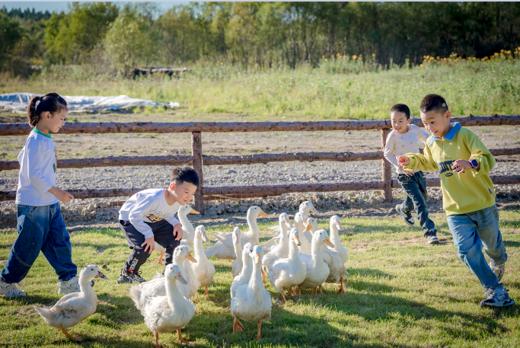 【长白山天域开业大促】2大1小天域牧场全天门票体验 商品图1
