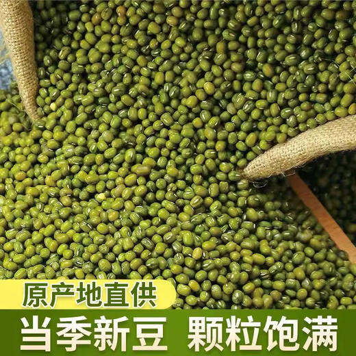 新货农家绿豆绿豆糕绿豆沙绿豆汤易熟易烂发豆芽 商品图4