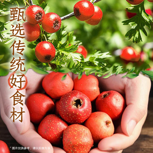 【直供】元气森林好自在陈皮山楂水植物饮料500mL*15瓶装整箱 商品图2