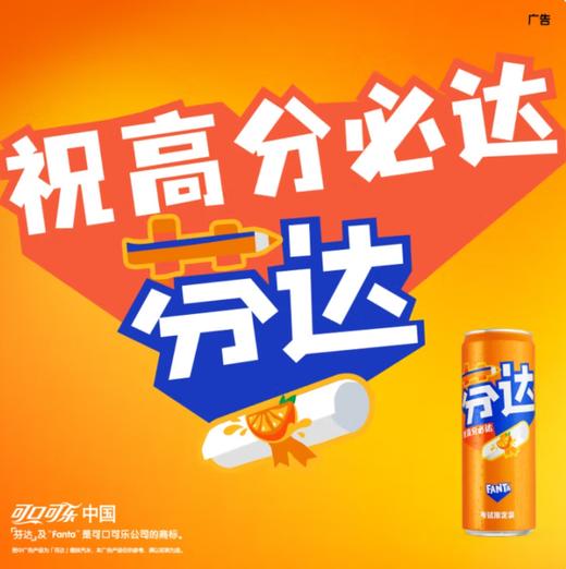 芬达听装 商品图2