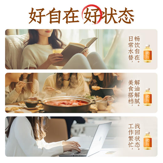 【直供】元气森林好自在陈皮山楂水植物饮料500mL*15瓶装整箱 商品图4