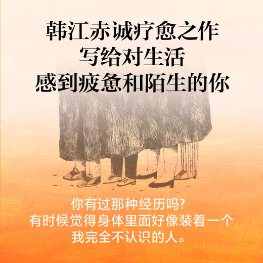 《伤口愈合中》 [韩] 韩江/ 著    崔有学/译 商品图1