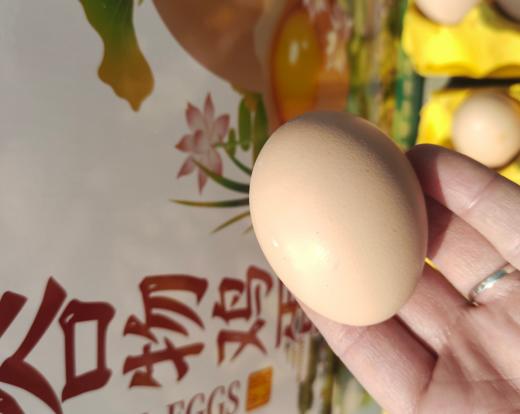 查干湖谷物鸡蛋礼盒 商品图0