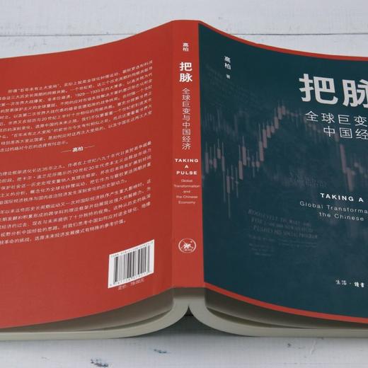 把脉:全球巨变与中国经济 商品图3