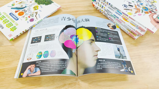 DK有趣的学习：有趣的大脑——什么指挥我 商品图2