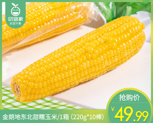 金朗地东北甜糯玉米/1箱（220g*10棒）生产日期：25年4月 商品图0