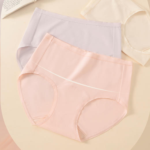 【3条装】女士大版中高腰长绒棉内裤高弹棉感橡筋舒适贴肤【CSL25260】 商品图1