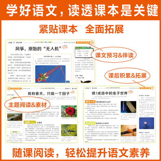 大语文知识画报【2026年】整年刊52期/全年刊 商品图1