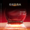 Jmoon 极萌  全新一代大熨斗美容仪提拉紧致 3重抗衰 商品缩略图3