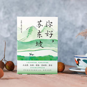 你好，苏东坡  王水照 朱刚 蒋勋 等著