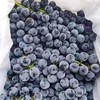 蓝莓葡萄约500g 商品缩略图3