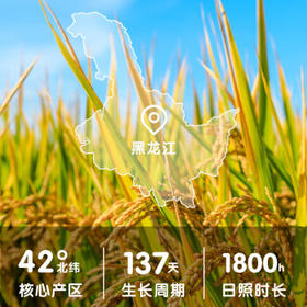 咪然天然鸭稻米 辽宁锦州生态产区大米 生态珍珠米 10斤 /粮油调味 /米 /珍珠米