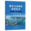 缆索支承桥梁换索技术 商品缩略图2