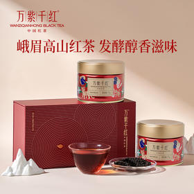 万紫千红特级茶叶峨眉高山红茶礼盒款罐装75g*2蜜香茶送礼送长辈