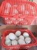 【新鲜鸭蛋】3斤左右/篮 商品缩略图0