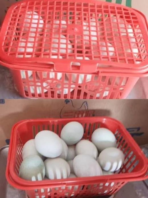 【新鲜鸭蛋】3斤左右/篮 商品图0
