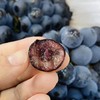 蓝莓葡萄约500g 商品缩略图1