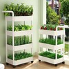 阳台种菜神器 立体小菜园 多层小推车置物架厨房蔬菜篮家用种菜盆缝收纳架 商品缩略图2