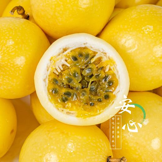【可以勺着吃的百香果】黄金百香果 钦蜜9号 香气炸弹  甜蜜来袭  颗粒饱满 色泽橙黄 果香馥郁 阵阵沁人心脾的香味 成熟时果皮呈金黄色 酸度低 不加蜂蜜自然甜 商品图7