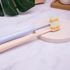 狮王细齿洁宽薄茶抗敏牙刷两支装 商品缩略图3