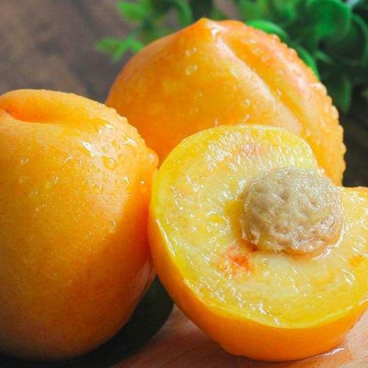 甜果源源 山东黄金油桃【黄皮黄肉油桃】 商品图2