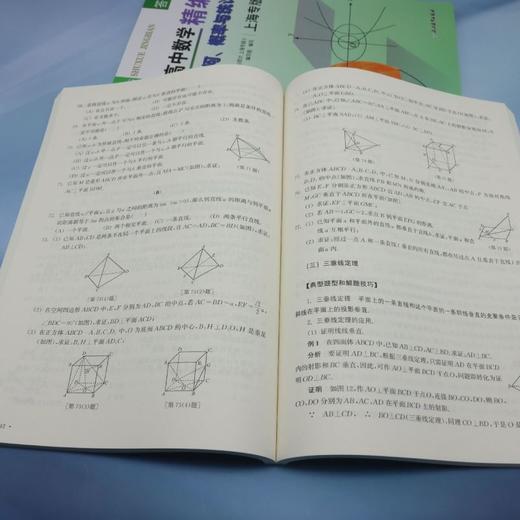 高中数学精编 几何、概率与统计 上海专版（共2册） 商品图4