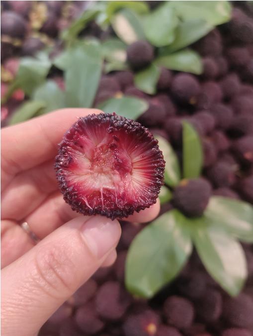 杨梅一斤 商品图2