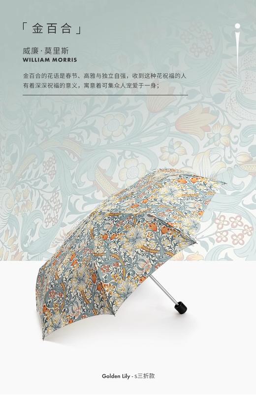 Fulton 富尔顿FULTON英国进口MORRIS雨伞防晒 商品图2