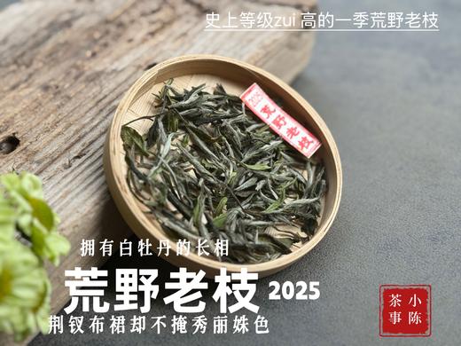 【新茶上市】2025荒野老枝，一款极其稀缺的特制荒野茶，披着白牡丹的外衣，茶汤清鲜，清灵，又香又蜜，让人欲罢不能！（50克） 商品图0